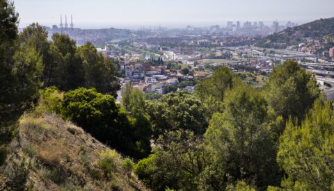 Protegido: La naturaleza se recupera en equipo